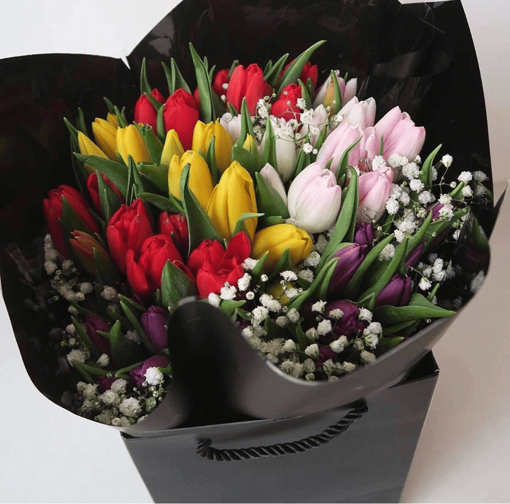 Multicoloured Tulips