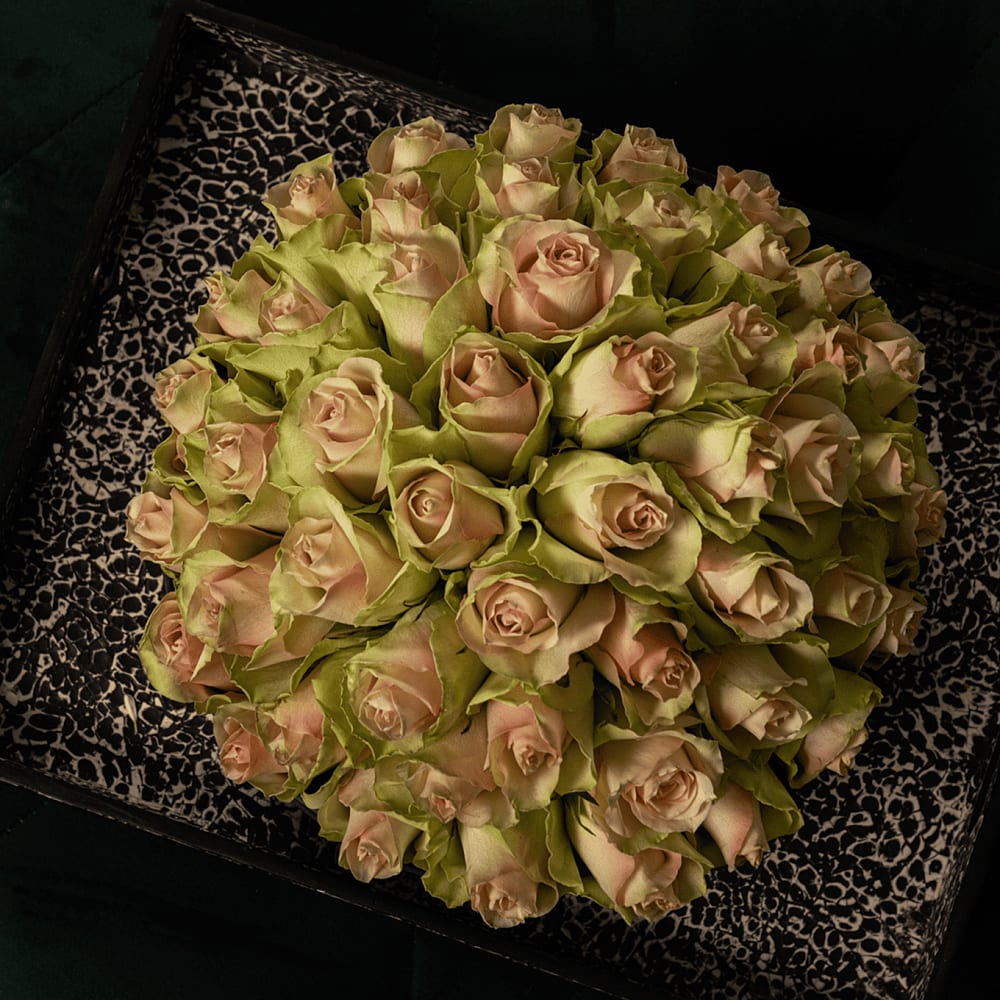 Pale Pink Roses