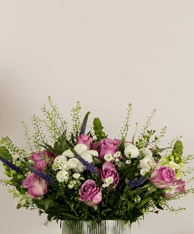 Lavender Roses