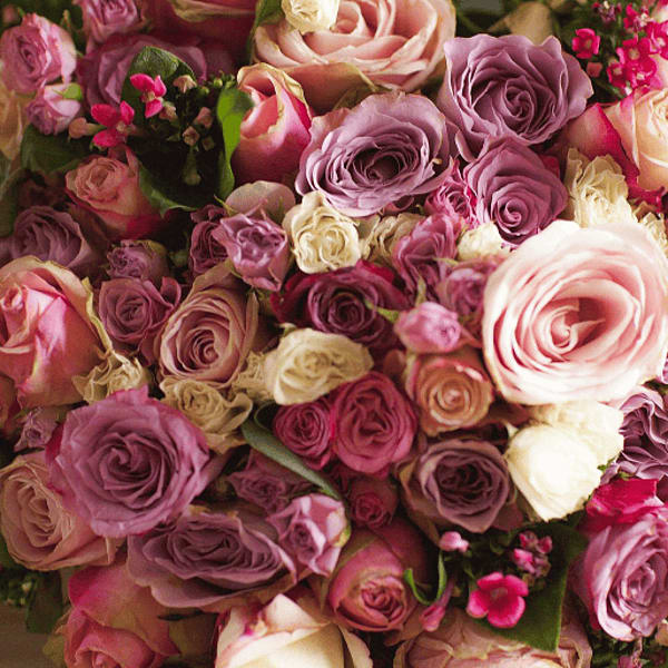 Roses