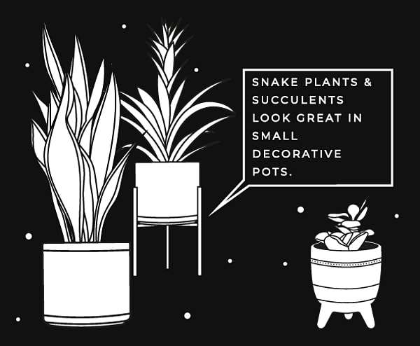 Plant Hacks